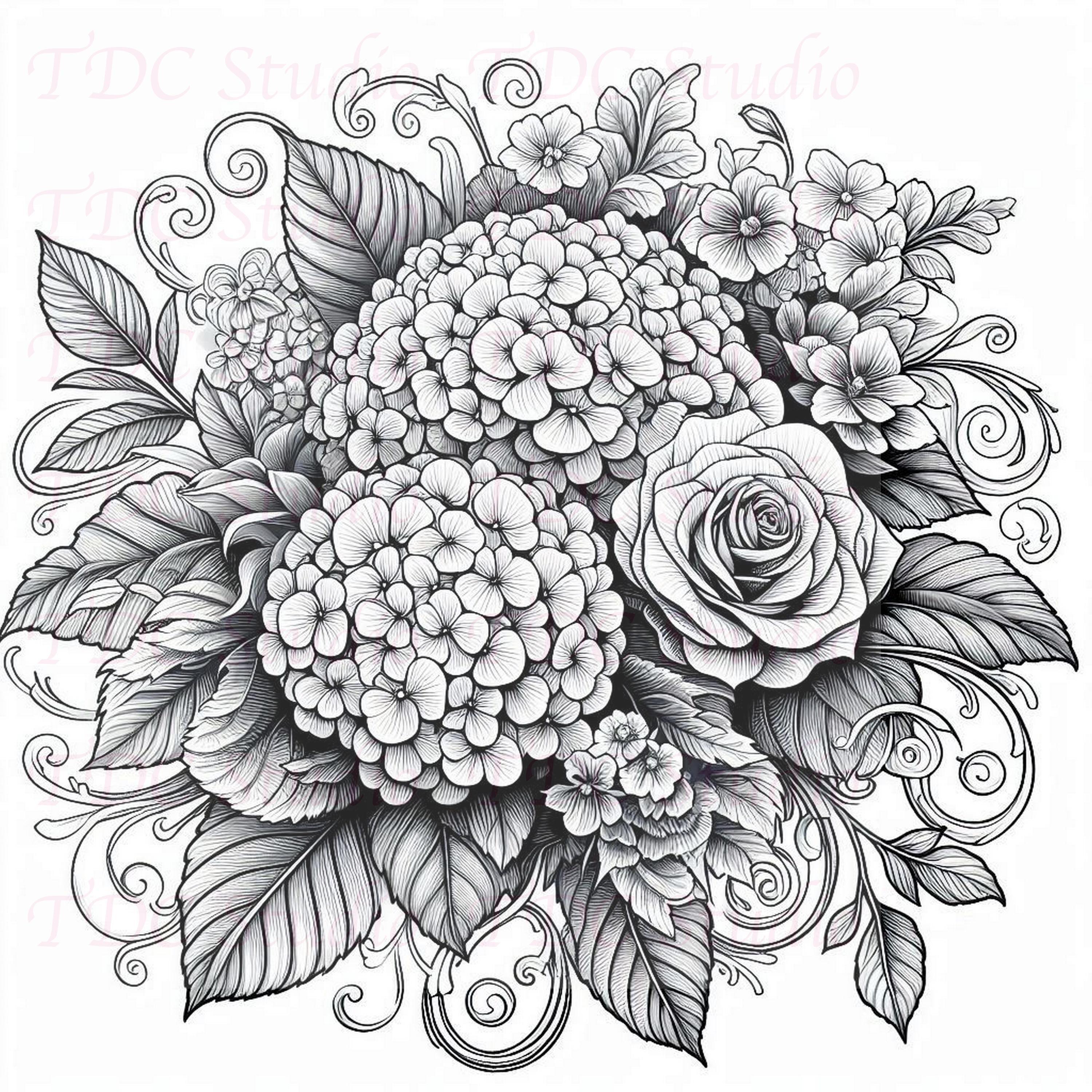 50+ Flowers Coloring Pages Botanical Garden Coloring Book